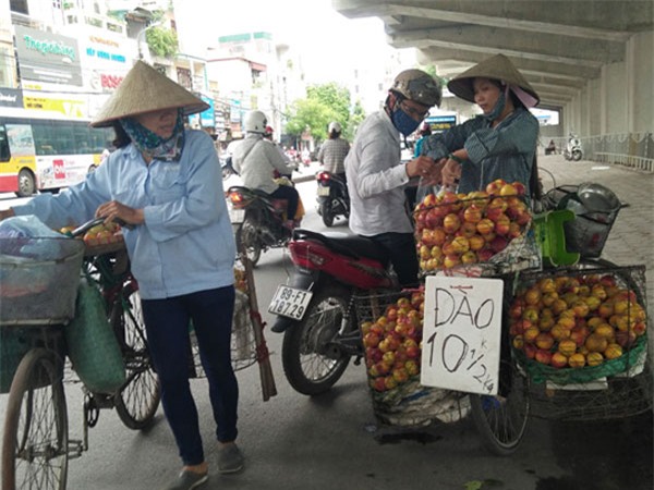 Hà Nội: Có tới 80% trái cây tại các chợ đầu mối không rõ nguồn gốc