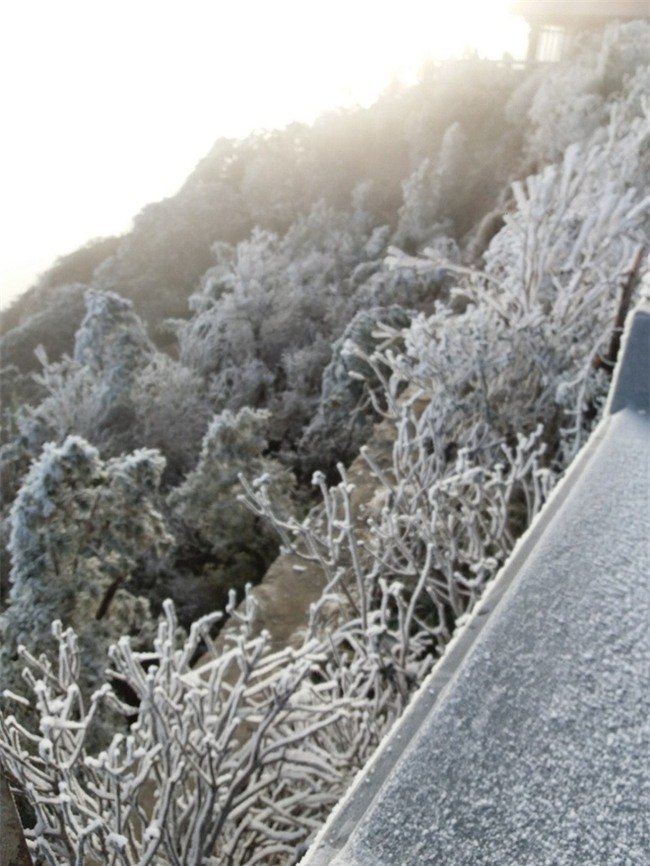 Đỉnh Fansipan trắng xóa băng tuyết khi nhiệt độ trong đêm giảm xuống -7 độ C - Ảnh 7.