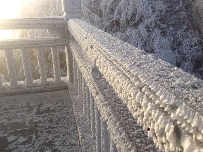 Đỉnh Fansipan trắng x&#243;a băng tuyết khi nhiệt độ trong đ&#234;m giảm xuống -7 độ C - Ảnh 5.