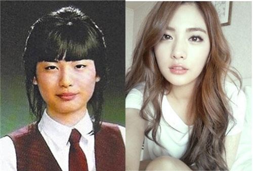 con sot cat mi o han va trung quoc da lan rong den viet nam nhu the nao? - 3