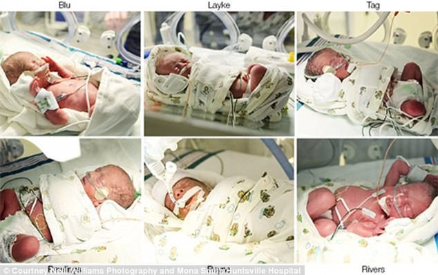 Chỉ sau 4 phút, cặp vợ chồng này đã trở thành bố mẹ của 9 đứa trẻ - Ảnh 6.