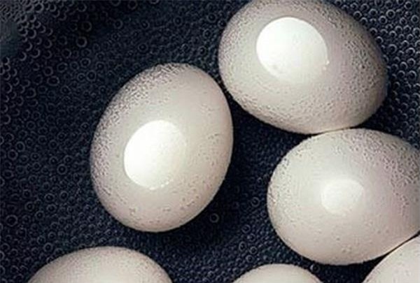 Ăn món này liên tục trong 10 ngày, vòng 1 lép kẹp bỗng nở nang bất thường, áo ngực tăng hẳn 2-3 size-3