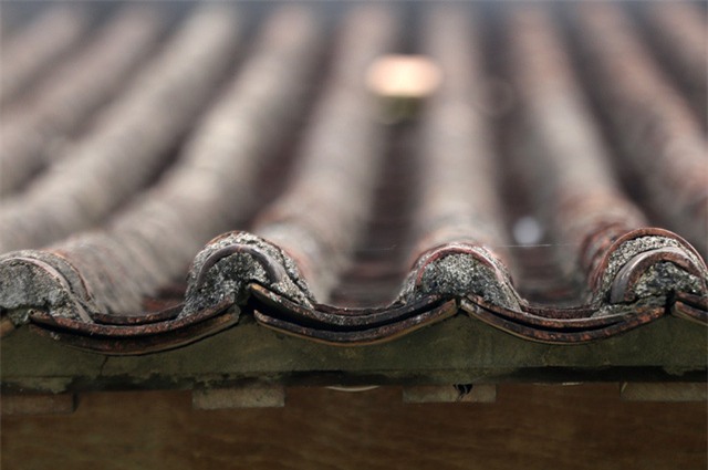 ngoi nha co co 120 cot go quy doc nhat o mien tay hinh anh 9