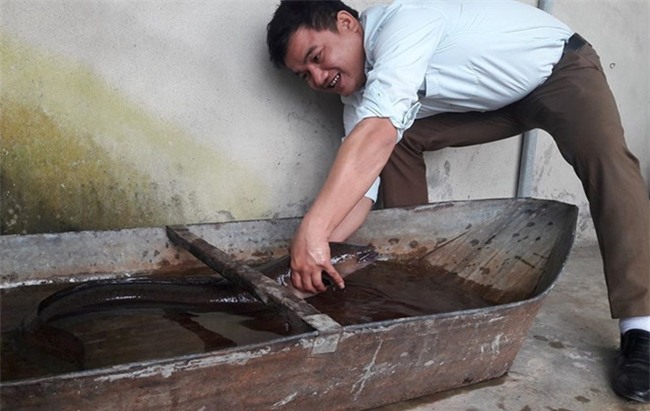 cá chình,cá khủng,thủy quái