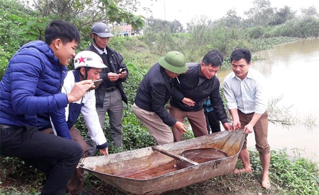 cá chình,cá khủng,thủy quái