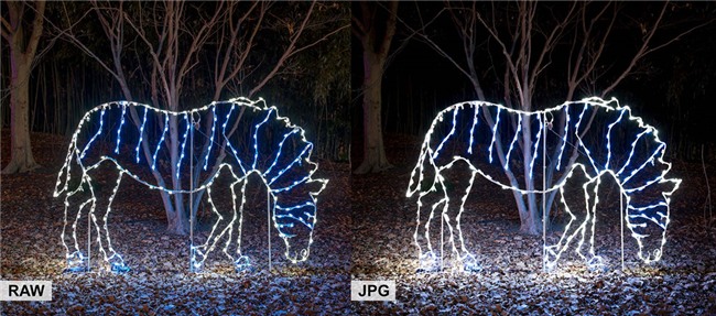 Nhung cach giup ban chup anh dep mua Giang sinh hinh anh 11