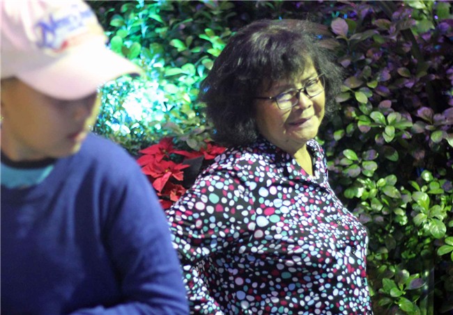 Hàng trăm người chen lấn chụp ảnh Noel tại biệt thự 3 triệu USD của Đàm Vĩnh Hưng - 13