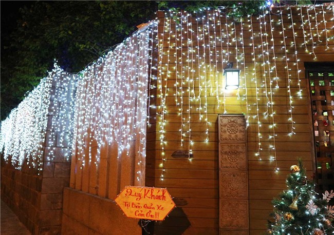 Hàng trăm người chen lấn chụp ảnh Noel tại biệt thự 3 triệu USD của Đàm Vĩnh Hưng - 3
