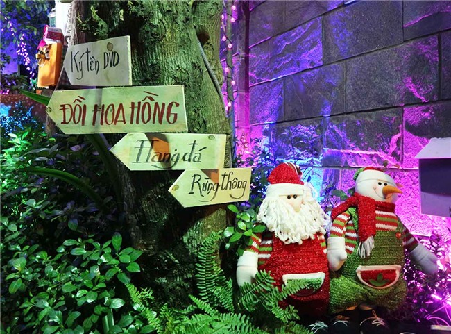 Hàng trăm người chen lấn chụp ảnh Noel tại biệt thự 3 triệu USD của Đàm Vĩnh Hưng - 4