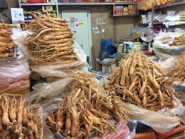 sâm quý,nhân sâm,lừa đảo