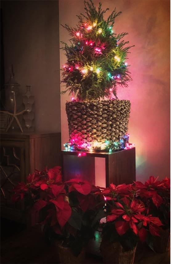 MC Kỳ Duyên khoe cây thông và đá xéo đàn ông có... tác dụng?