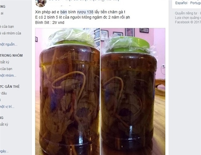 rượu,rượu giả