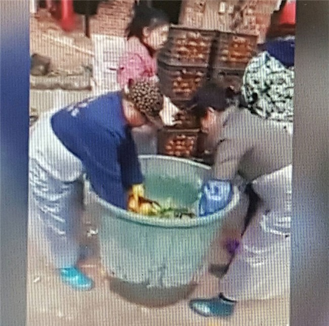 Thực hư về clip quay cảnh nhúng quýt vào hóa chất độc hại bán cho người ăn