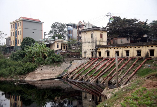 Hà Nội: Nước ô nhiễm nặng, bốc mùi nồng nặc vẫn phải bơm lên tưới cho hoa màu - Ảnh 3.