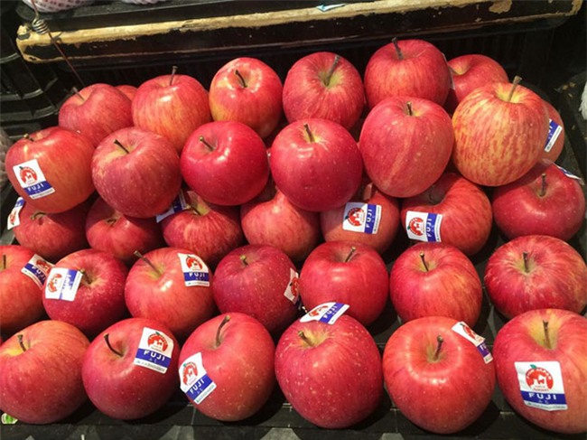 400.000 dong/kg tao nhat, nhieu nguoi viet san lung mua ve an hinh anh 2