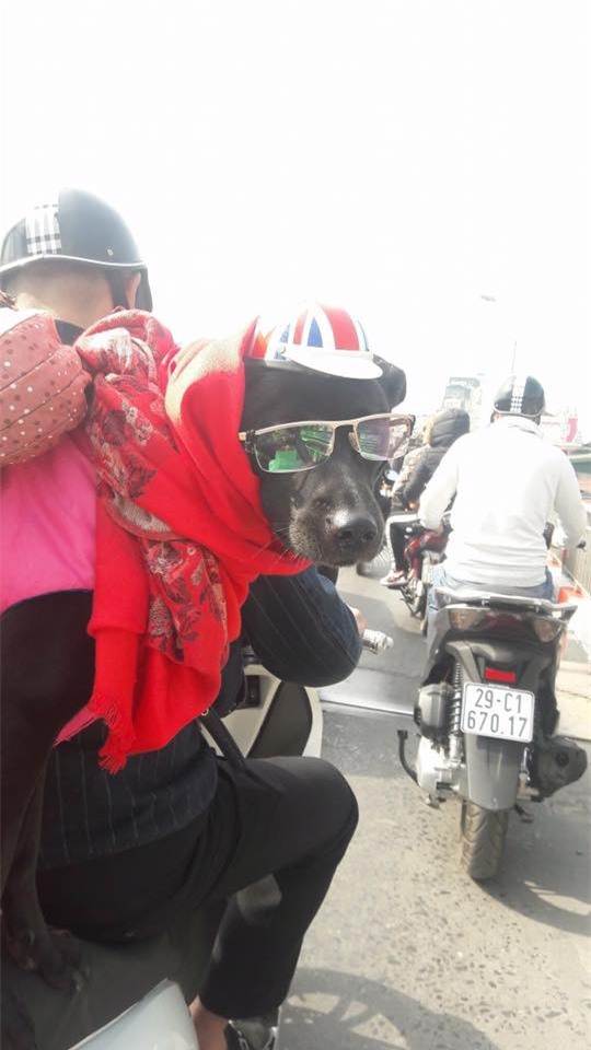 Dung nhan thật sự của cô nàng điệu đà thả dáng ngày đông sau yên xe bạn trai - Ảnh 1.