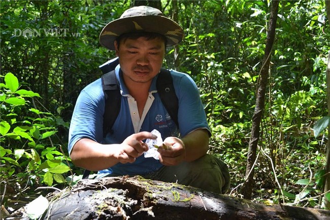 trai pho nui va hành trình 20 nam choi lan rung theo kieu 