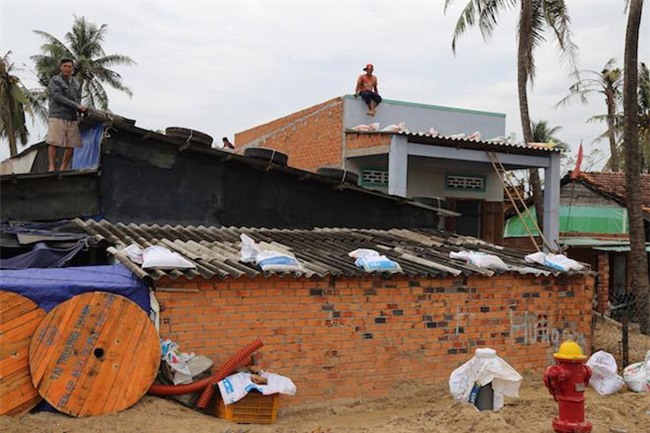 anh: gia tre cuong cuong chong bao tembin, cap doi ra bien chup anh cuoi - 1