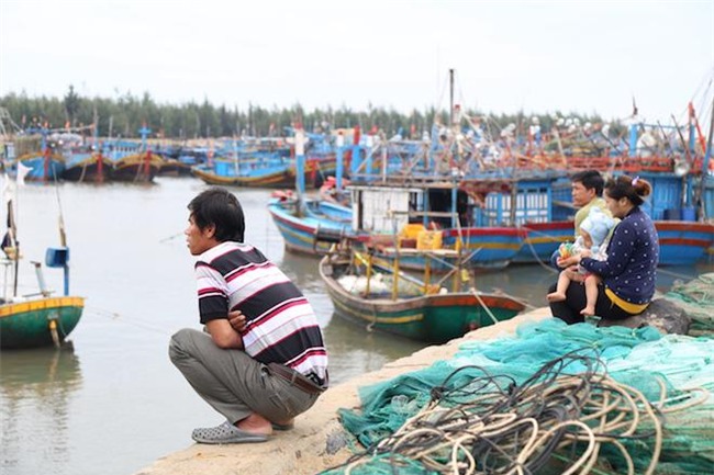 anh: gia tre cuong cuong chong bao tembin, cap doi ra bien chup anh cuoi - 7