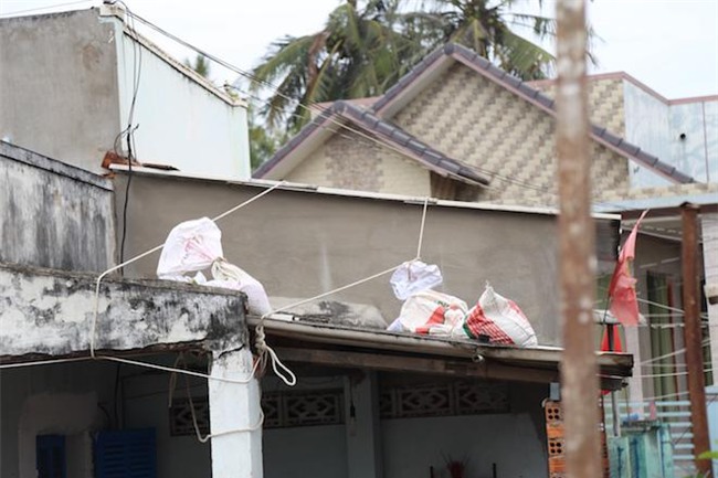 anh: gia tre cuong cuong chong bao tembin, cap doi ra bien chup anh cuoi - 8