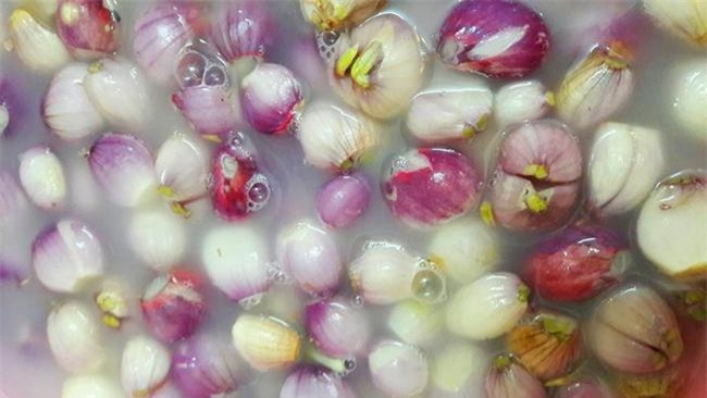 me ha noi chia se cach lam hanh muoi chua ngot gion ngon, khong bi mang don tet - 3