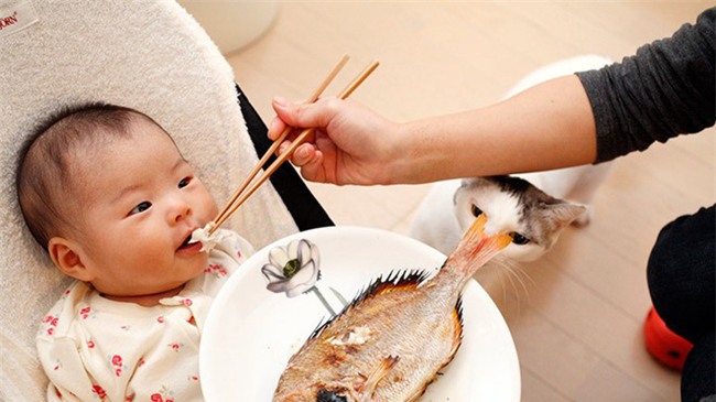 Cho trẻ ăn cá ít nhất 1 tuần 1 lần, kết quả hơn cả mong đợi - Ảnh 1.