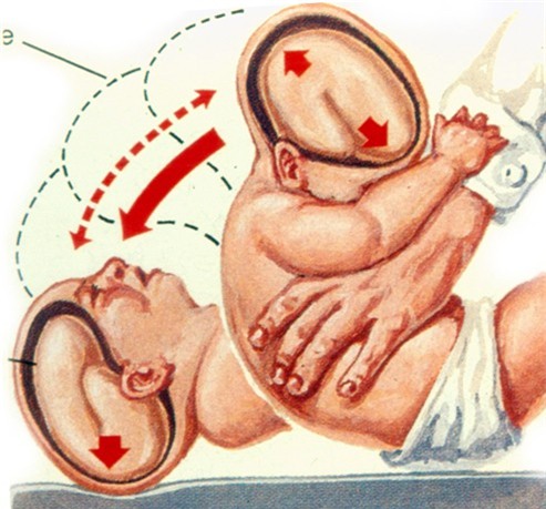 Đứng tim xem cách người nước ngoài tập thể dục cho trẻ sơ sinh không khác gì “bạo hành” - Ảnh 6.