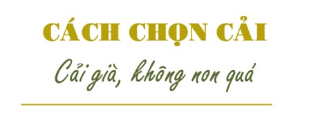 nhung meo cuc hay giu cho dua cai muoi chua luon vang gion khong bi khu - 3