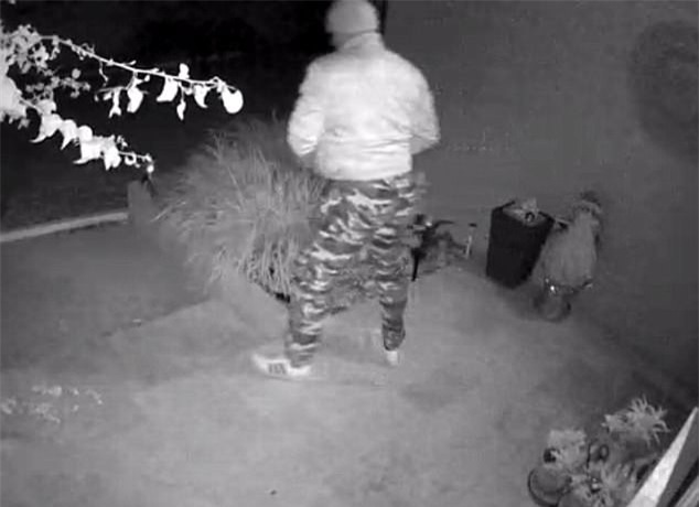 Hàng giao đến nhà chưa kịp nhận đã bị lấy cắp, cô gái tá hỏa phát hiện kẻ trộm lại chính là người này - Ảnh 3.