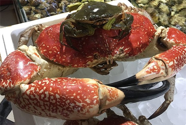 cua biển,đại gia việt,đặc sản nhà giàu