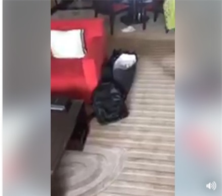 Hát hit của Châu Kiệt Luân, Mai Phương Thúy được fan hứa ủng hộ 2 tỷ nếu ra album-5