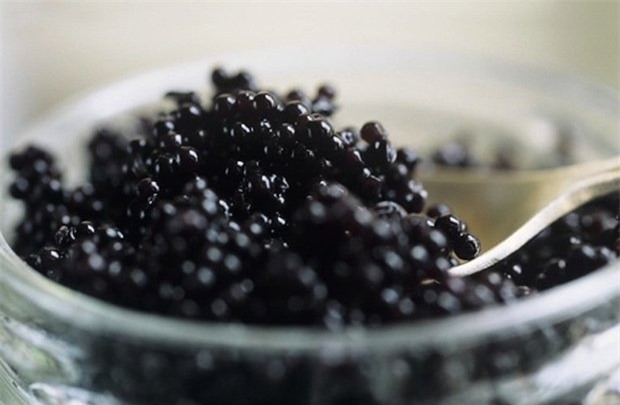 Trứng cá tầm,đại gia,cá tầm Việt Nam