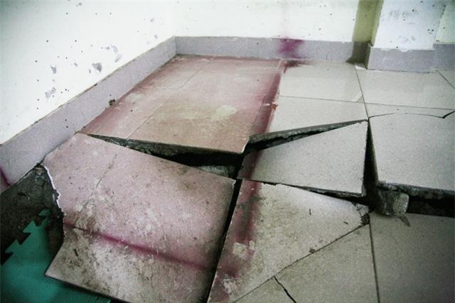 ha noi: nen chung cu bat ngo sut lun, kem tieng no lon, ca gia dinh hot hoang thao chay - 12