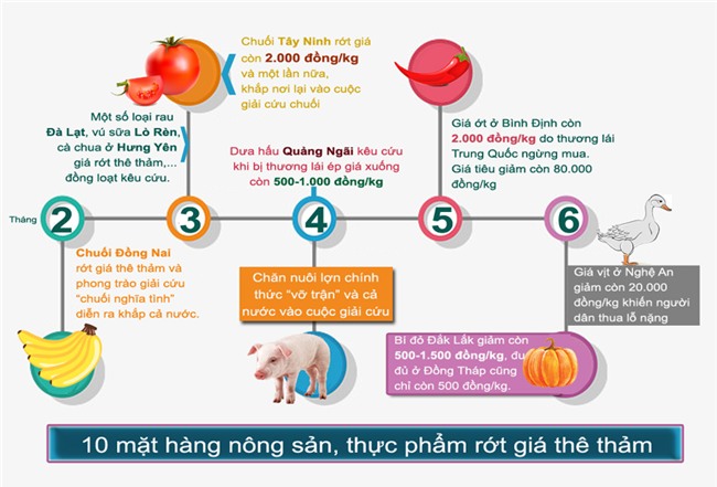 thịt lợn,ngành chăn nuôi,chăn nuôi lợn,giải cứu nông sản,giải cứu thịt lợn