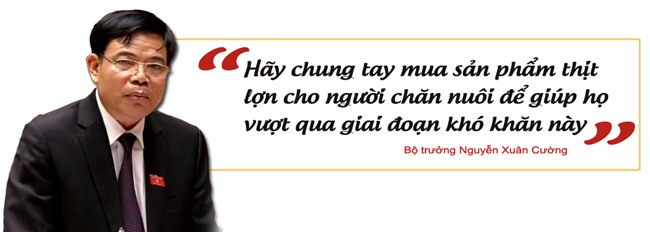 thịt lợn,ngành chăn nuôi,chăn nuôi lợn,giải cứu nông sản,giải cứu thịt lợn