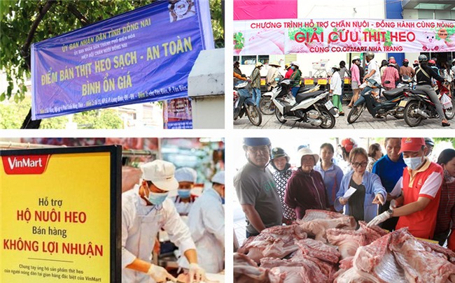 thịt lợn,ngành chăn nuôi,chăn nuôi lợn,giải cứu nông sản,giải cứu thịt lợn