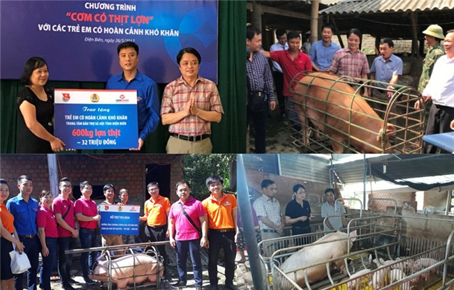 thịt lợn,ngành chăn nuôi,chăn nuôi lợn,giải cứu nông sản,giải cứu thịt lợn