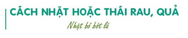 5 meo khien rau, qua xao luon xanh muot, gion ngon - 2