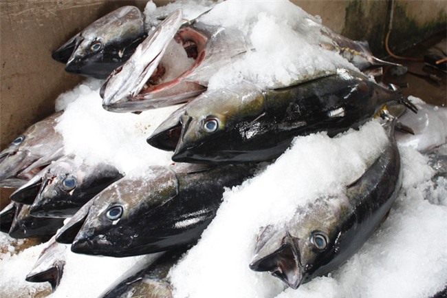 Nhiều người rã đông thực phẩm theo cách rất mất an toàn, chuyên gia bày cách an toàn nhất - Ảnh 2.