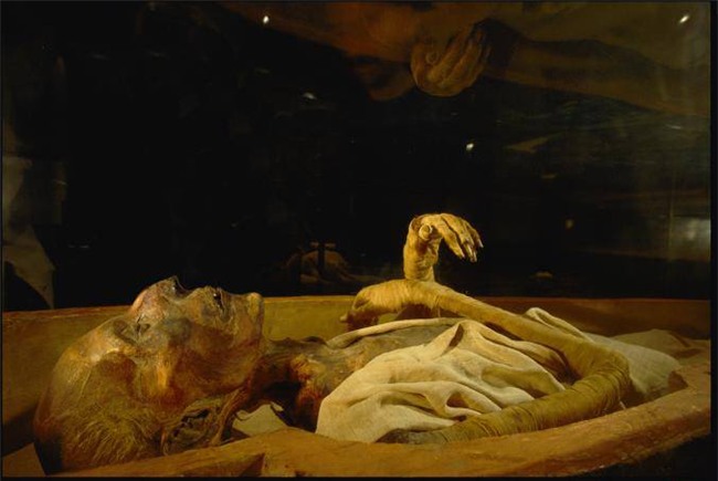 kinh ngac voi 9 xac uop “sieu thuc” nhat the gioi - 1