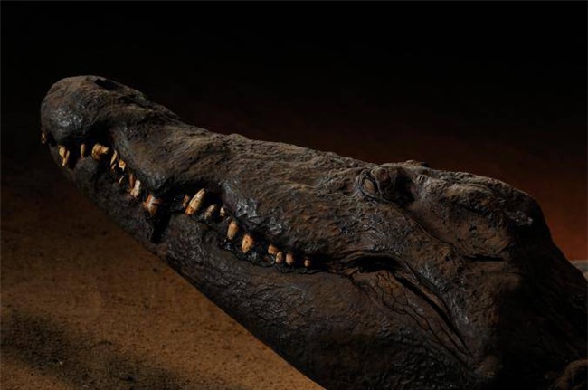 kinh ngac voi 9 xac uop “sieu thuc” nhat the gioi - 3