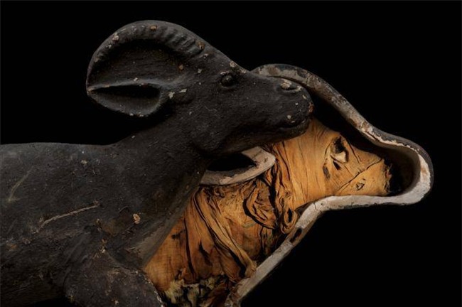 kinh ngac voi 9 xac uop “sieu thuc” nhat the gioi - 6