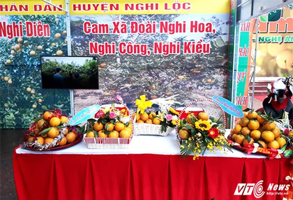 Cam Xã Đoài,đặc sản tiến vua,đặc sản nhà giàu