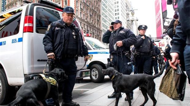 CẬP NHẬT: Gói pháo hoa phát nổ, bắn loạn xạ vào đám đông ở Australia