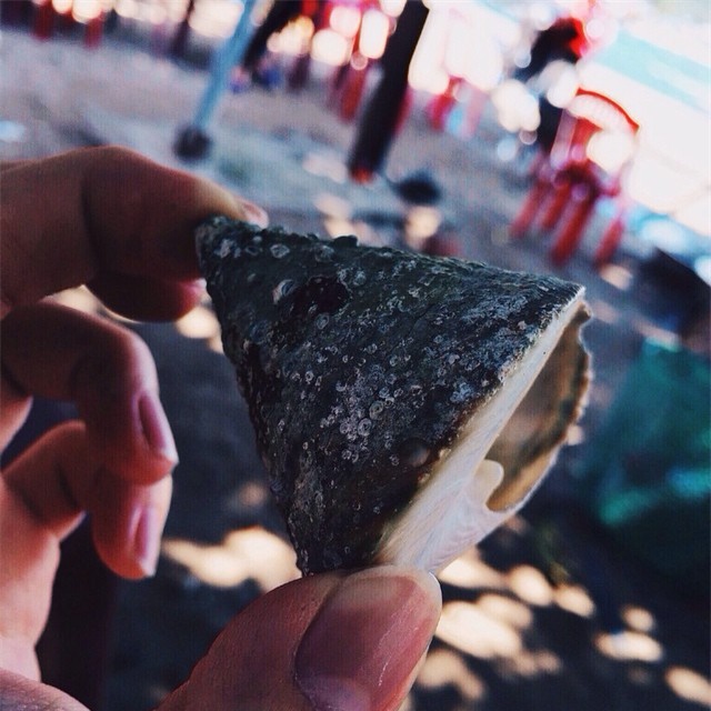 Cá cu, vú nàng là 2 trong  4 đặc sản nghe tên đã thấy ngượng đỏ mặt, ăn vào thì mê tít - Ảnh 3.