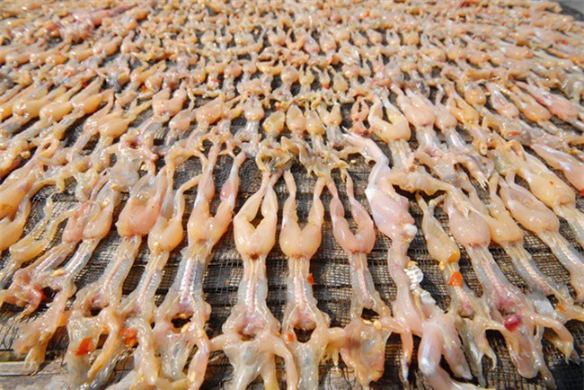 Cá cu, vú nàng là 2 trong  4 đặc sản nghe tên đã thấy ngượng đỏ mặt, ăn vào thì mê tít - Ảnh 7.