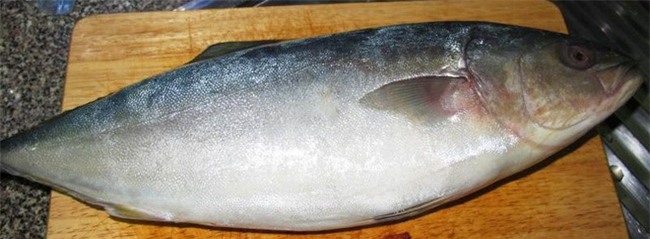 Cá cu, vú nàng là 2 trong  4 đặc sản nghe tên đã thấy ngượng đỏ mặt, ăn vào thì mê tít - Ảnh 10.