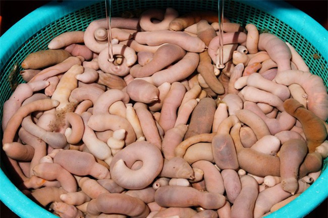 Cá cu, vú nàng là 2 trong  4 đặc sản nghe tên đã thấy ngượng đỏ mặt, ăn vào thì mê tít - Ảnh 12.