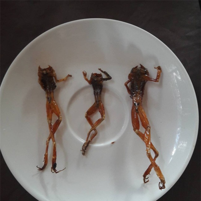 Cá cu, vú nàng là 2 trong  4 đặc sản nghe tên đã thấy ngượng đỏ mặt, ăn vào thì mê tít - Ảnh 9.