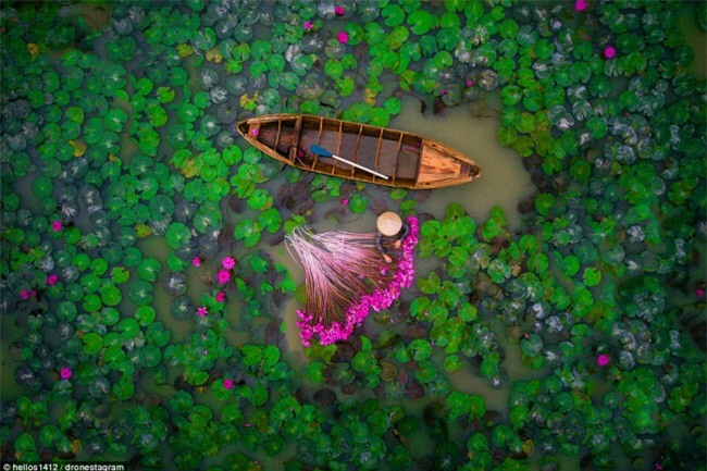 ngam the gioi nam 2017 dep khac la tu tren cao hinh anh 1